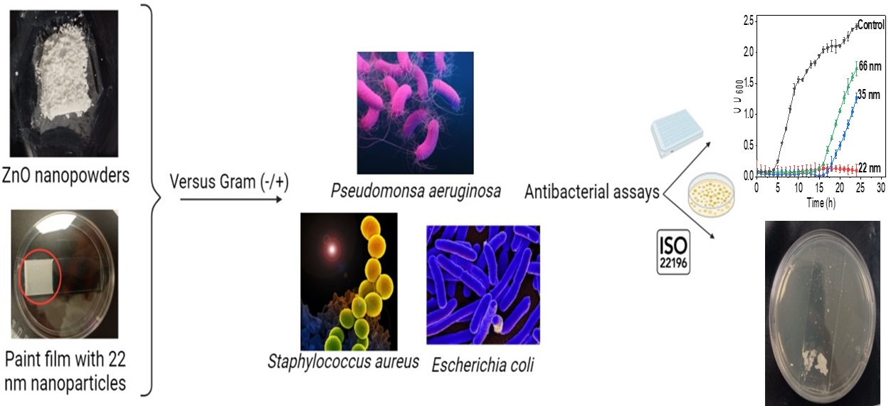 Nanoparticules biocides